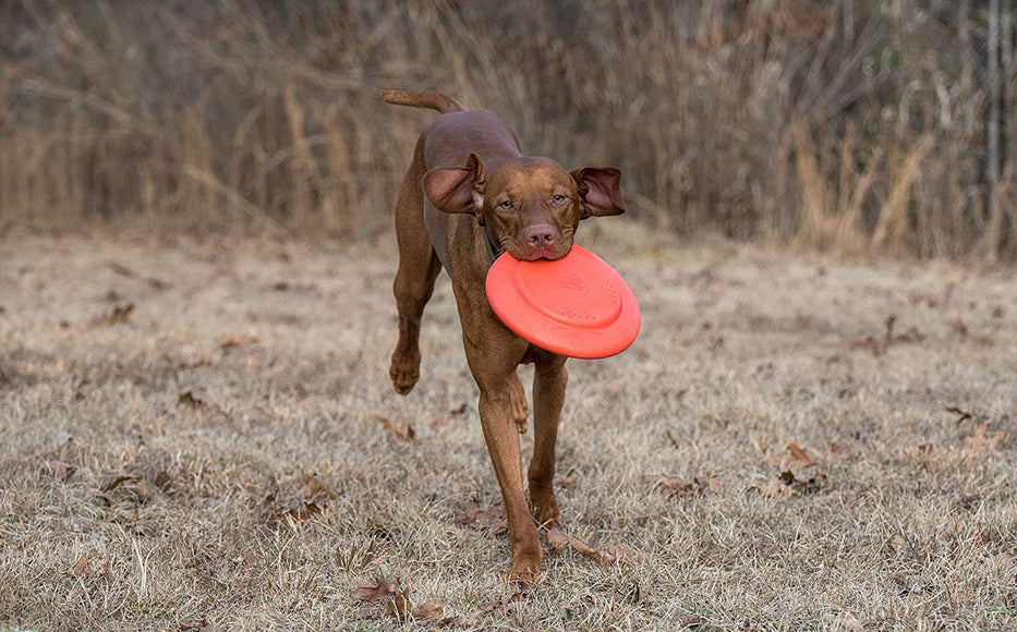 Dexas Off-Leash Frisbee Flyer – Floating Durable Dog Disc with Carabiner Attachment