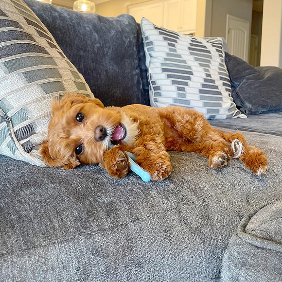 Nylabone Puppy Chicken Wishbone XS – Chicken Scented Chew Toy, Extra Small, Blue