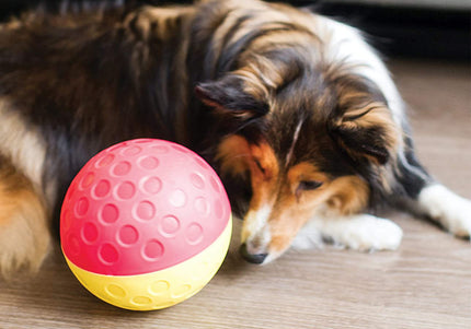 Nina Ottosson Treat Tumble Level 1 – Interactive Logic Ball, 14.6cm, Durable Puzzle Toy