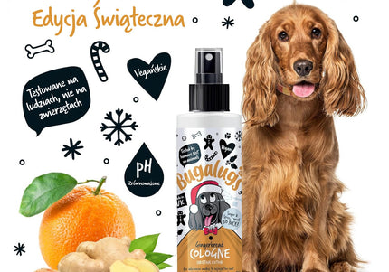 Bugalugs Gingerbread Cologne Christmas Edition 200ml – Festive Perfumed Spray with Warm Gingerbread Scent