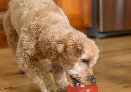 Outward Hound Lil Snoop Treat Dispensing Rubber Ball – Interactive Durable Dog Toy