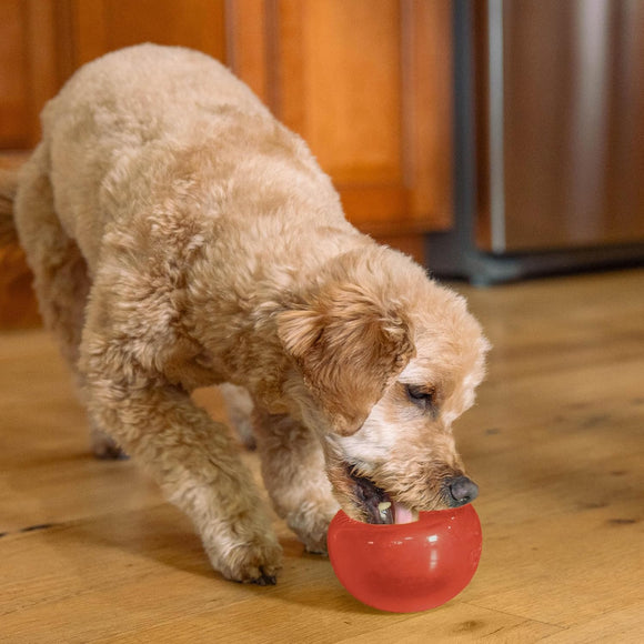 Outward Hound Lil Snoop Treat Dispensing Rubber Ball – Interactive Durable Dog Toy