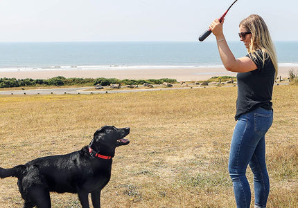 KONG HandiPOD Ball Launcher Refill Pack – Tennis Ball Plus 4 Rolls Durable Waste Bags