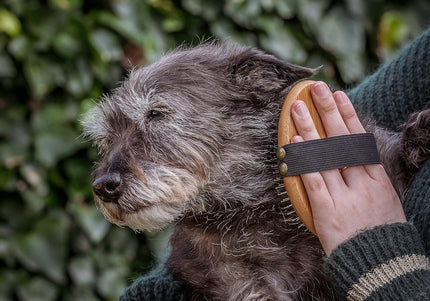 Mikki Bamboo Ball Pin Palm Brush – Large Bamboo Body, Metal Pins, Elastic Band Design