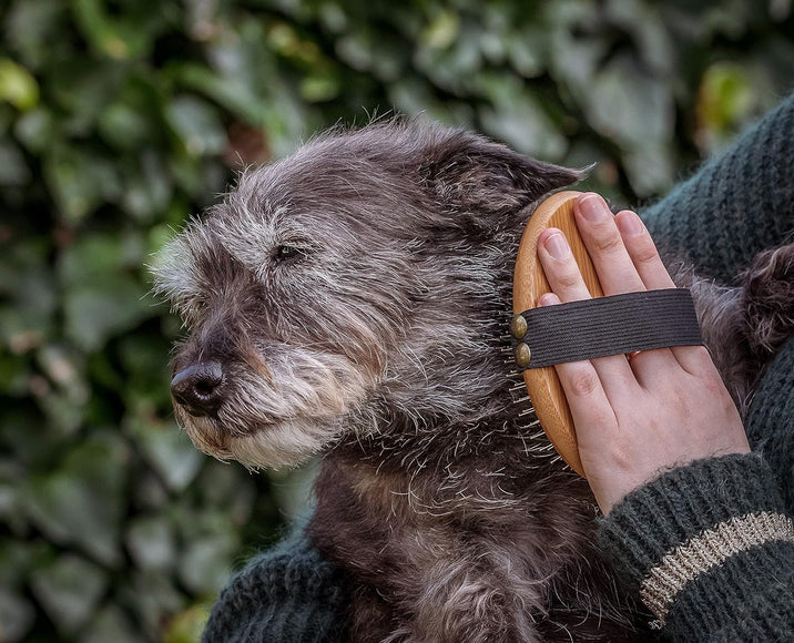 Mikki Bamboo Ball Pin Palm Brush – Large Bamboo Body, Metal Pins, Elastic Band Design