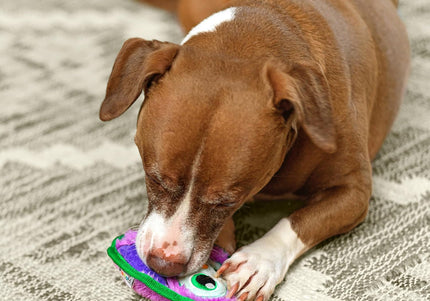 Outward Hound Durablez Owl Squeaky Toy – 15cm Unfilled, Durable Purple Plush