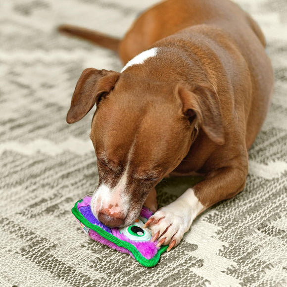 Outward Hound Durablez Owl Squeaky Toy – 15cm Unfilled, Durable Purple Plush