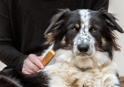 Mikki Bamboo Flea Anti-Tangle Comb – Rotating Teeth, Natural Bamboo, Removes Insects Easily