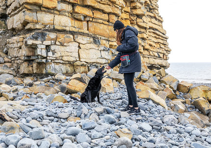 KONG Travel Hiking Bag – Durable Storage Organizer with Multiple Pockets for Treats and Accessories