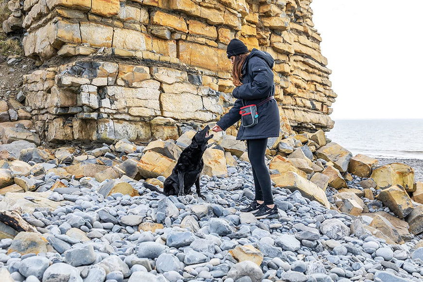 KONG Travel Hiking Bag – Durable Storage Organizer with Multiple Pockets for Treats and Accessories