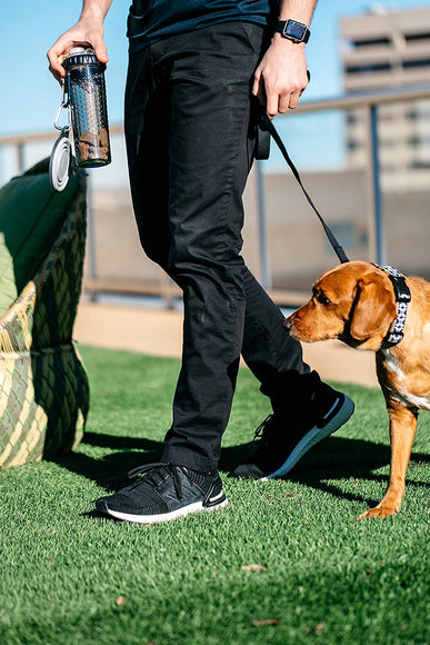 Dexas Snack-Duo Dual-Chamber Bottle – Food and Water Storage with Silicone Bowl, Fuchsia