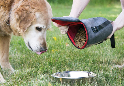 KONG Travel Kibble Bag – Portable Food Storage with Secure Closure and Easy-Carry Handle