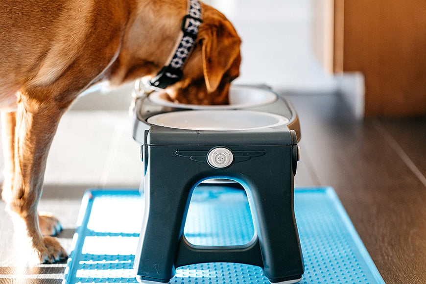 Dexas Adjustable Height Feeder – Elevated Double Bowl Stand, Blue, Customizable Levels