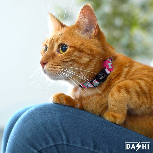 Dashi Flamingo Cat Collar – Colorful Adjustable Collar with Flamingo Pattern, Lightweight Design