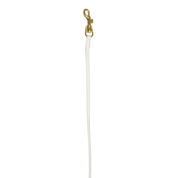 Show Tech Nylon Lead with Gold Hook – White, 0.3x84cm, Professional Dog Leash