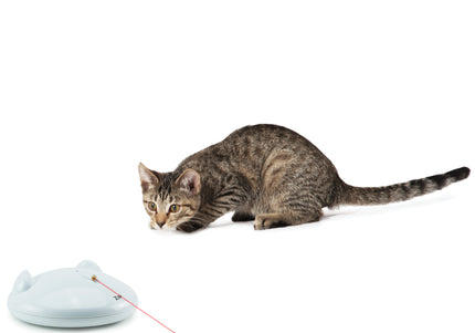 PetSafe Zip Automatic Laser Light – Interactive Moving Laser Toy, Battery Operated