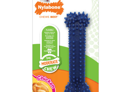 Nylabone Moderate Chicken Dental Bone – Flexible Chew, Large Size, Chicken Flavor, Oral Care
