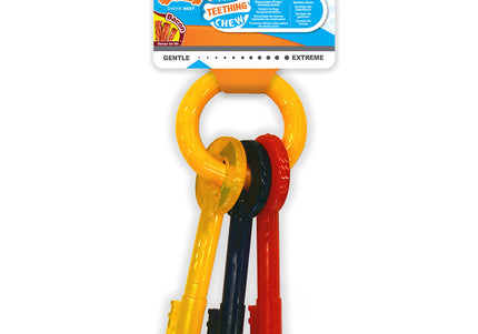 Nylabone Puppy Chew Keys – Bacon-Scented Durable Teething Toy, Medium Size Key Shape