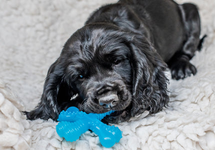 Nylabone Puppy X Shaped Chew XS – Small Flexible Beef-Flavored Teething Aid