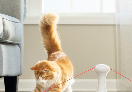 PetSafe Multi-Laser Cat Toy – Automatic Rotating Interactive Play Device