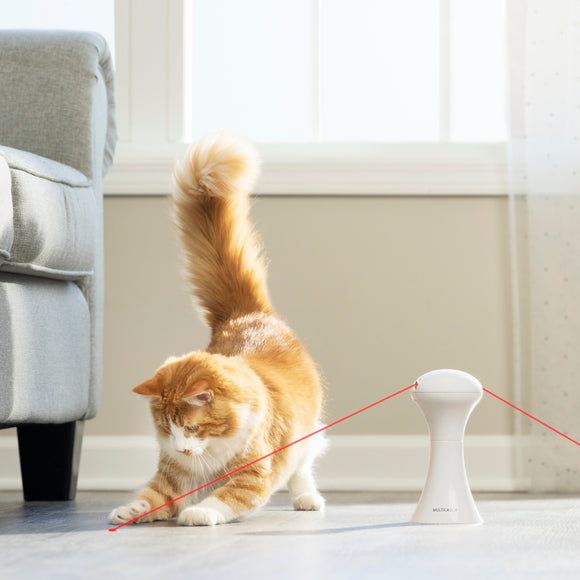 PetSafe Multi-Laser Cat Toy – Automatic Rotating Interactive Play Device
