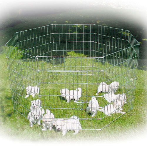 Show Tech X Pen Metal Puppy Playpen – 91cm Height, 8-Panel Durable Dog Fence