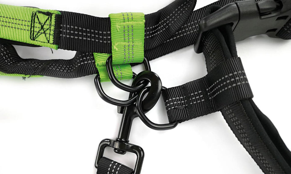 Record Jogging Hip Belt – Adjustable Running Belt with Integrated Leash, Lightweight Design