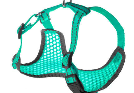 Record Fluo Turquoise Harness – Airy Mesh Dog Harness with Reflectors, Small Size