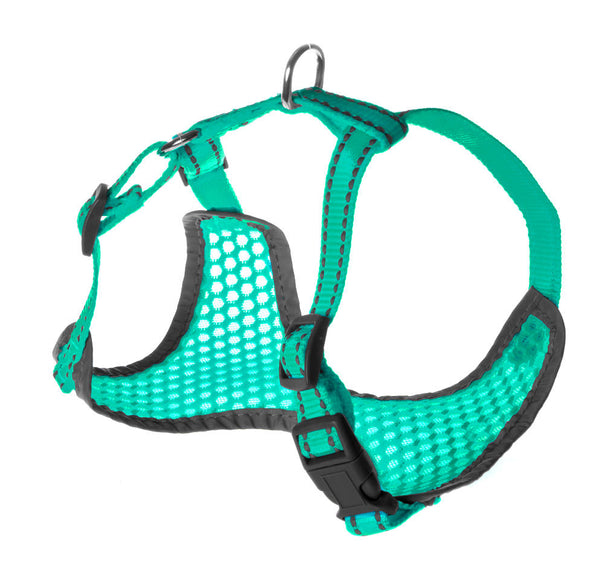 Record Fluo Turquoise Harness – Airy Mesh Dog Harness with Reflectors, Small Size