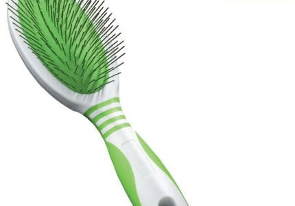 Andis Oval Pin Brush – Large Size with Metal Needles, Gentle Detangling Design