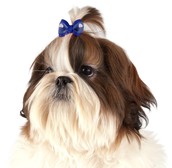 Show Tech Argyle Grooming Bows – Colorful Elastic Decorative Set, 50 Pieces, Eye-Catching Design