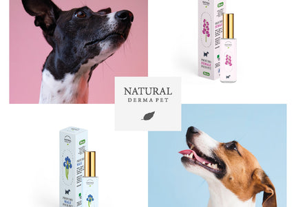 Natural Derma Pet Perfume – Floral Scented Spray, Long-Lasting Freshness for Female Dogs