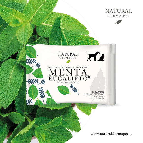 Natural Derma Pet Cleaning Wet Wipes – Mint and Eucalyptus Scent, Gentle Formula, 35 Pack