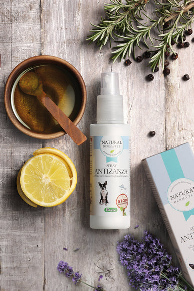 Natural Derma Pet Dog Protection Spray – Fast-Acting Pest Defense Formula, 100ml Bottle