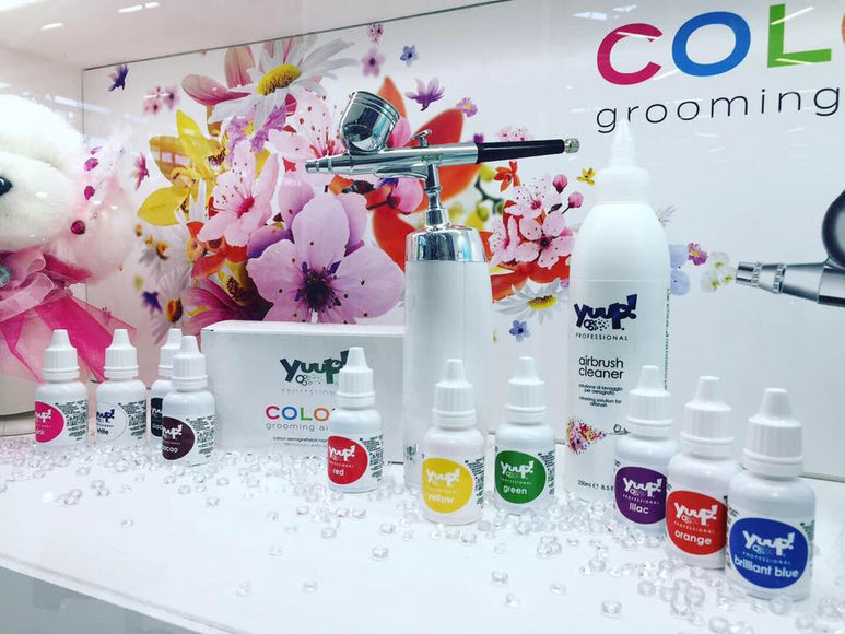 Yuup! Professional Cordless Airbrush – Lightweight Rechargeable Hair Coloring Tool with Precision Control