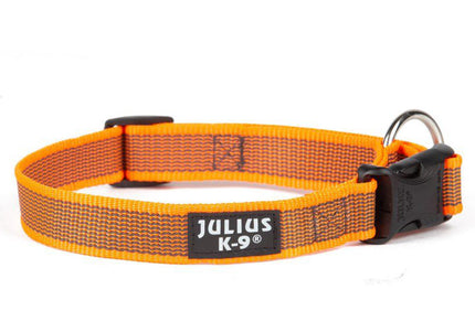 Julius K9 Color & Gray Collar 2.5cm – Durable Adjustable Nylon Dog Collar, Black