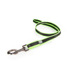 Neon green
