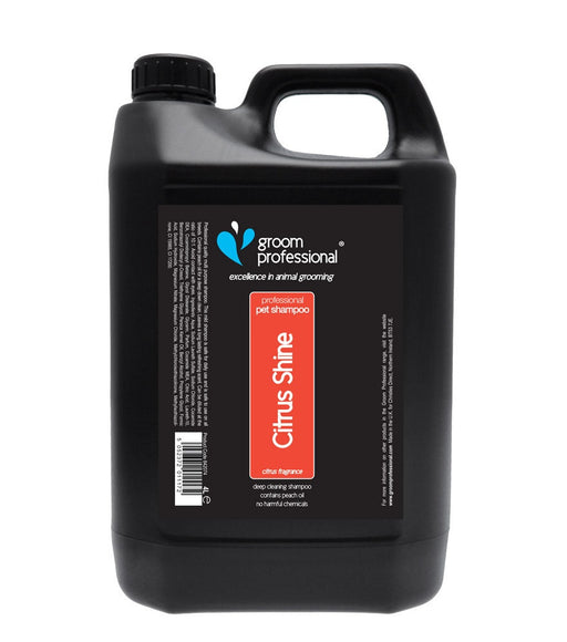 Groom Professional Citrus Shine Shampoo 4L – Deodorizing 1:10 Concentrate for Oily Skin, Fresh Scent