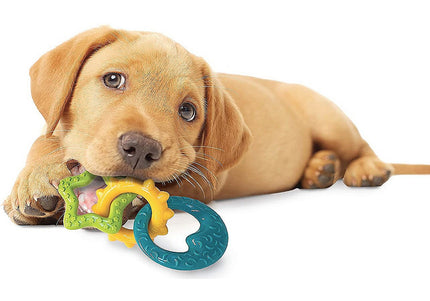 Nylabone Puppy Teething Rings – Bacon Flavor Durable Chew Toy for Soothing Gums