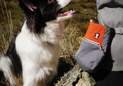 Hurtta Treat Pocket Eco Blackberry Mix – Durable Training Pouch with Secure Closure and Easy Access