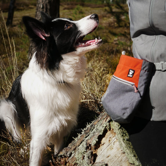 Hurtta Treat Pocket Eco Blackberry Mix – Durable Training Pouch with Secure Closure and Easy Access