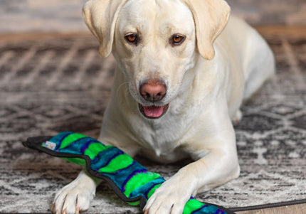 Outward Hound Durablez Snake Blue – Tough Squeaky Dog Toy, Unfilled, Long-Lasting Fun