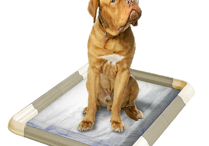 Record Puppy Pad Holder – Modular Dog Litter Box with Secure Pad Fastening, Hygienic Training Solution