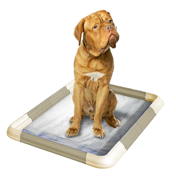 Record Puppy Pad Holder – Modular Dog Litter Box with Secure Pad Fastening, Hygienic Training Solution