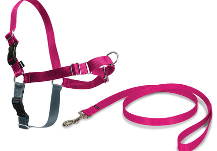 PetSafe Easy Walk Harness and Leash Set – Raspberry Pink, Large, Comfortable No-Pull Design