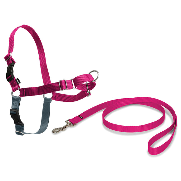 PetSafe Easy Walk Harness and Leash Set – Raspberry Pink, Large, Comfortable No-Pull Design