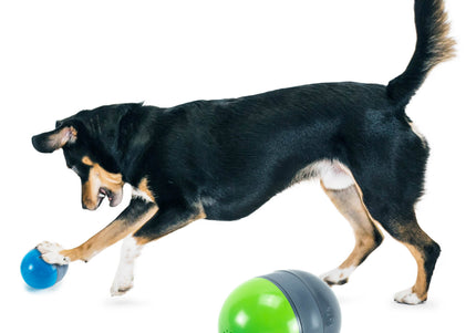PetSafe Ricochet Electronic Dog Toy – Interactive Squeaking Balls, Engaging Play Design