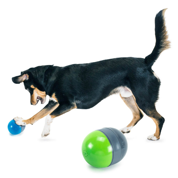 PetSafe Ricochet Electronic Dog Toy – Interactive Squeaking Balls, Engaging Play Design