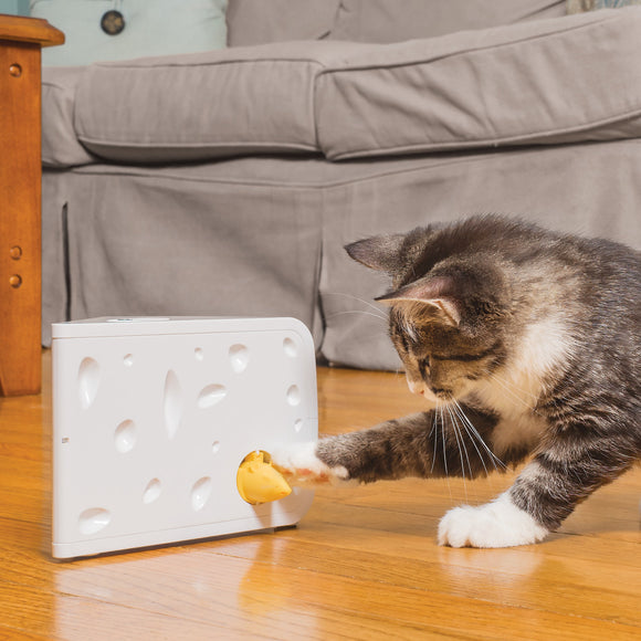 PetSafe Cheese Automatic Cat Toy – Interactive Cheese Design with Moving Mice, Engaging Play