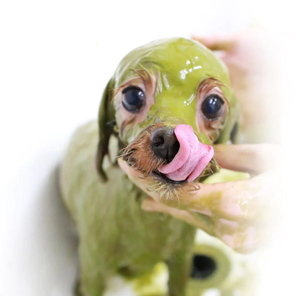 Animal Ayurveda Moisture Health Herb Starter Pack 60g – Natural Herbal Mask, Moisturizing and Skin-Nourishing Formula